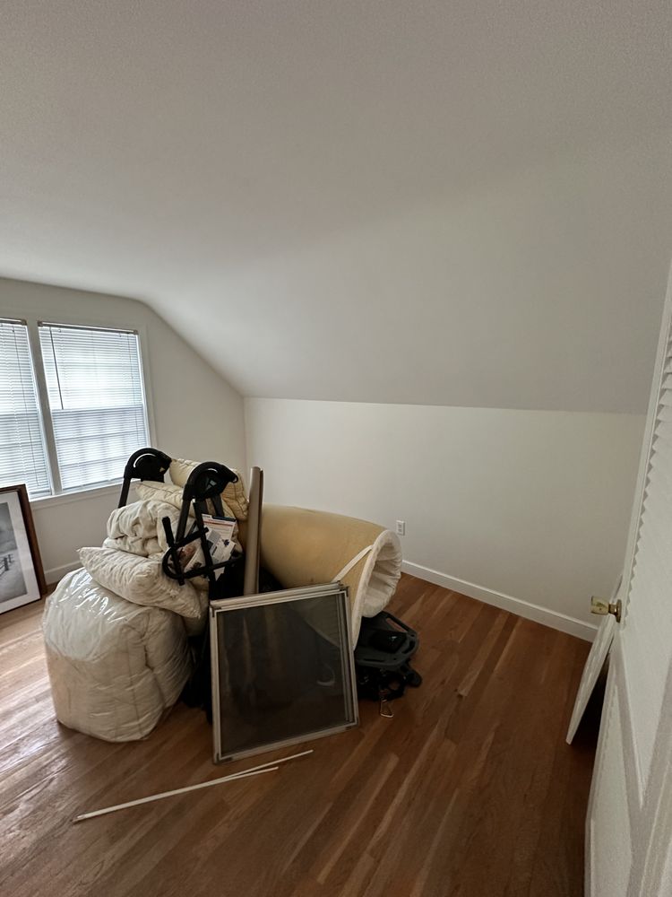 Slide of Pedretti’s Painting