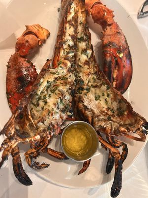 The Lobster by null