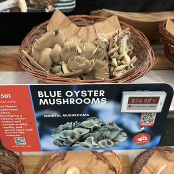 Specialty Produce - Blue Oyster Mushrooms - Fruits & Veggies Near Me - San Diego, California Specialty Produce - Blue Oyster Mushrooms - Fruits & Veggies Near Me - San Diego, California