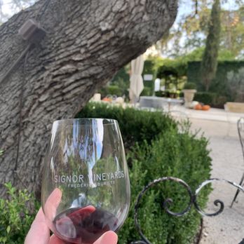 Signor Vineyards - Wine tasting - Wine Tasting Room Near Me - Fredericksburg, Texas