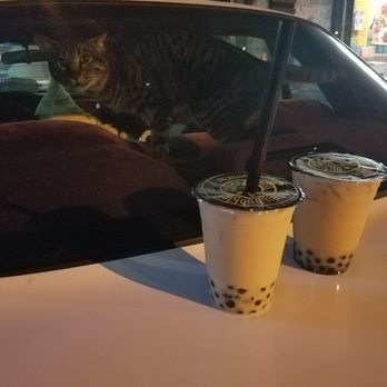 Honey Bubble - Mochi is watching you watching the bubble tea so don't make any sudden moves - Bubble Tea Near Me - Atlanta, Georgia