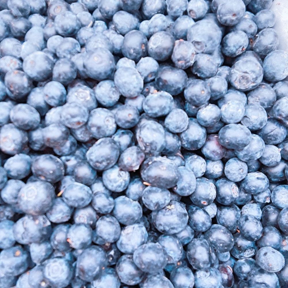 Oceanside Farmer's Market - Blueberries - Farmers Market Near Me - Oceanside, California