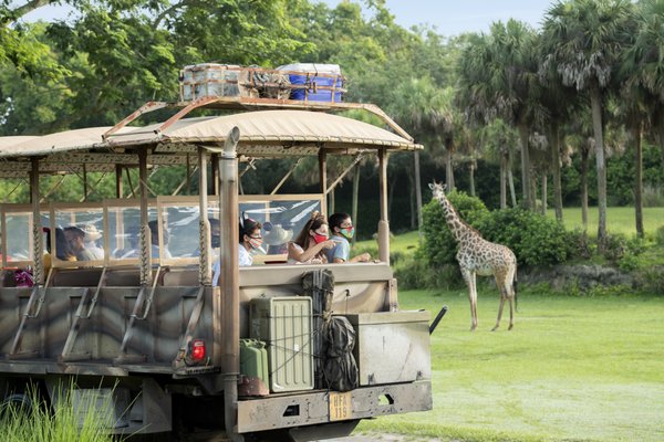Disney Animal Kingdom by null