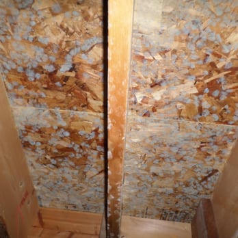 Pure Clean Techs - Mold remediation after pic - Carpet Cleaning Near Me - Bozeman, Montana Pure Clean Techs - Mold remediation after pic - Carpet Cleaning Near Me - Bozeman, Montana