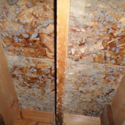 Pure Clean Techs - Mold remediation after pic