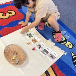 Pearl Montessori Preschool - Matching Cards and Objects