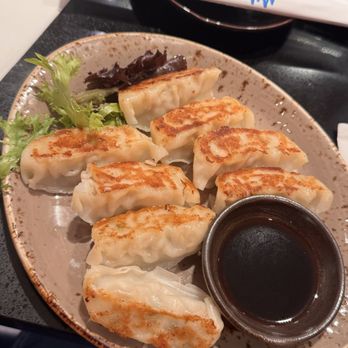 Mikuni - Pan fried gyoza - Japanese Near Me - Concord, California Mikuni - Pan fried gyoza - Japanese Near Me - Concord, California
