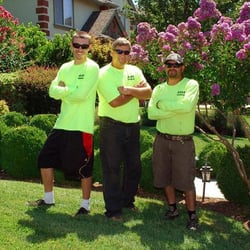 Distinctive Landscape & Maintenance - great team