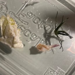 Large stem from lettuce, tomato stem and rotten lettuce found in Cheesecake Factory salad Large stem from lettuce, tomato stem and rotten lettuce found in Cheesecake Factory salad