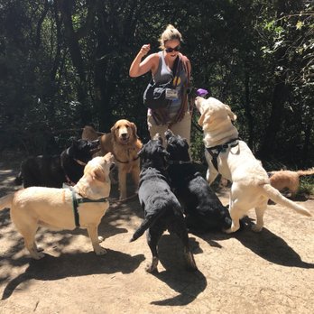 Denise's Pet Care - Dog Walkers Near Me - Oakland, California