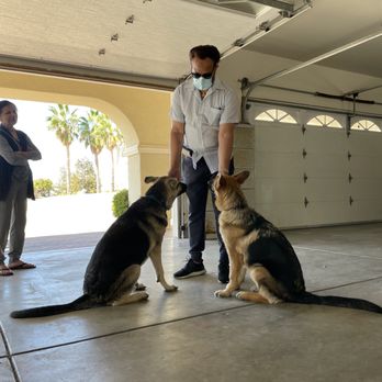 From Head To Tail - Recall training! - Pet Training Near Me