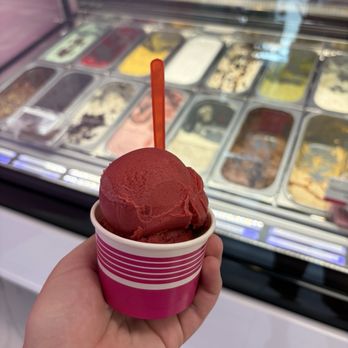 Le Macaron - Gelato Near Me - Denver, Colorado Le Macaron - Gelato Near Me - Denver, Colorado