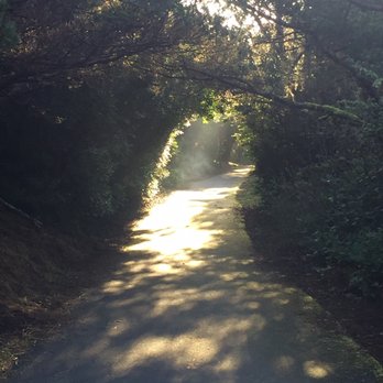 South Beach State Park - Beautiful trail to ocean - Parks Near Me