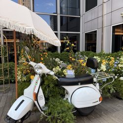Dalmazio Design
