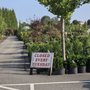 Photo of Conestoga Nursery