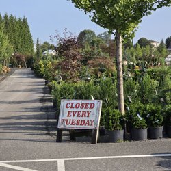 Conestoga Nursery