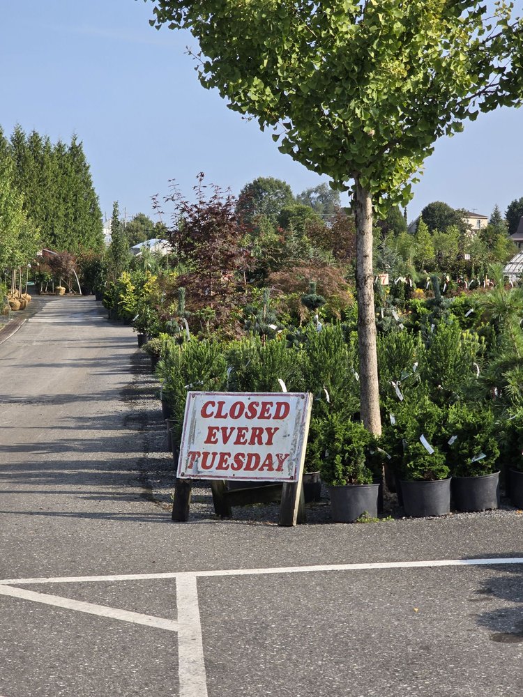 CONESTOGA NURSERY Updated October 2024 30 Photos & 26 Reviews 310 Reading Rd, East Earl