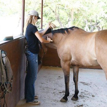 XLR8 Ranch - XLR8 Ranch - Horse Boarding Near Me - Dripping Springs, Texas XLR8 Ranch - XLR8 Ranch - Horse Boarding Near Me - Dripping Springs, Texas