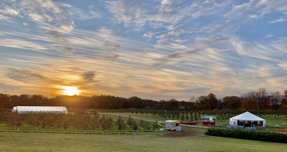 COUNTRY BLOSSOM FARM 13 Photos 1951 Englund Rd SW, Alexandria