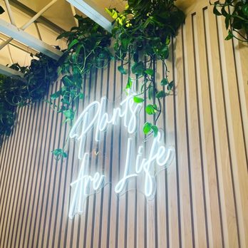 Plants By Yours Truly - Neon light and plants - Nurseries & Gardening Near Me - Huntington Beach, California