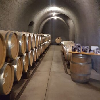 Sonoma Adventures - Gundlach Bundschu - Bike Rentals Near Me - Sonoma, California