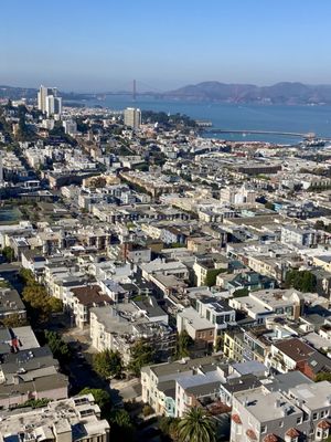 Coit Tower by null