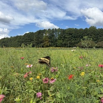 Greenbrier Farms - Nurseries & Gardening Near Me - Chesapeake, Virginia