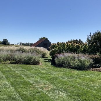 Early Mountain Vineyards - Beautiful views - Wineries Near Me - Madison, Virginia Early Mountain Vineyards - Beautiful views - Wineries Near Me - Madison, Virginia