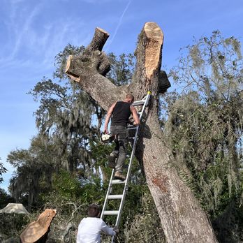 Legs-N-Limbs Tree Service - Progress - Tree Services Near Me Legs-N-Limbs Tree Service - Progress - Tree Services Near Me