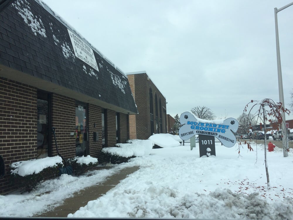 SOUTH PAW PET GROOMING Updated October 2024 19 Photos & 60 Reviews