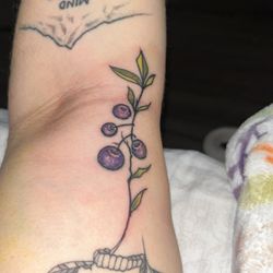 Brass Monkey Tattoo Company - Lil bloooob vine by Nathan !!