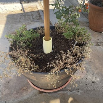 Cherry Valley Nursery & Landscape Supply - Cherry Valley Nursery - Nurseries & Gardening Near Me - Cherry Valley, California Cherry Valley Nursery & Landscape Supply - Cherry Valley Nursery - Nurseries & Gardening Near Me - Cherry Valley, California