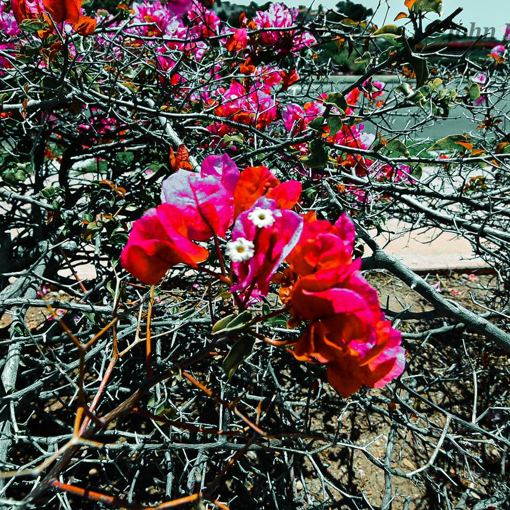 Marilyn Ryan Sunset Point Park - Parks Near Me - Rancho Palos Verdes, California Marilyn Ryan Sunset Point Park - Parks Near Me - Rancho Palos Verdes, California