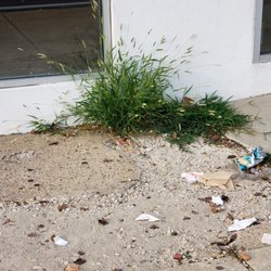 Hertz Rent A Car - Trash and weeds.