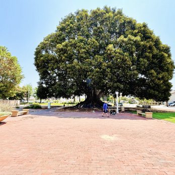 Big Tree Park - Gazebo at Big Tree Park in Glendora--shaded seating, clean plaza space, and peaceful park vibes. - Parks Near Me - Glendora, California Big Tree Park - Gazebo at Big Tree Park in Glendora--shaded seating, clean plaza space, and peaceful park vibes. - Parks Near Me - Glendora, California