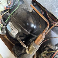 OS Appliance Repair - Dead Scorpion on top of compressor