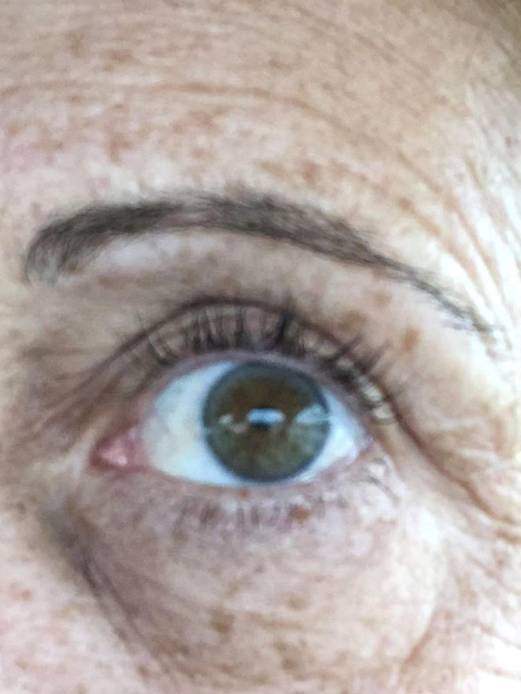Navy Lash Logo