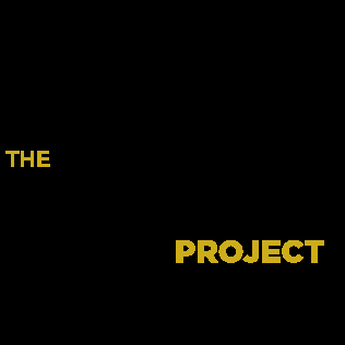 The Lion Project - social services organization in Denver, CO