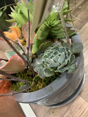 Mrs. DeHaven's Flower Shop by null