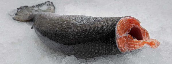 Osler Fish Market by null