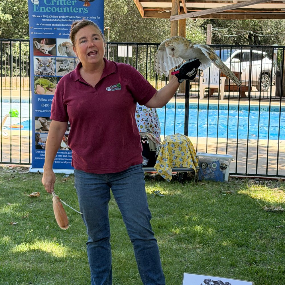 Critter Encounters - Andrea with a Barn Owl - Special Education Near Me - Poway, California