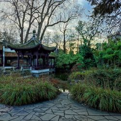 Chinesischer Garten