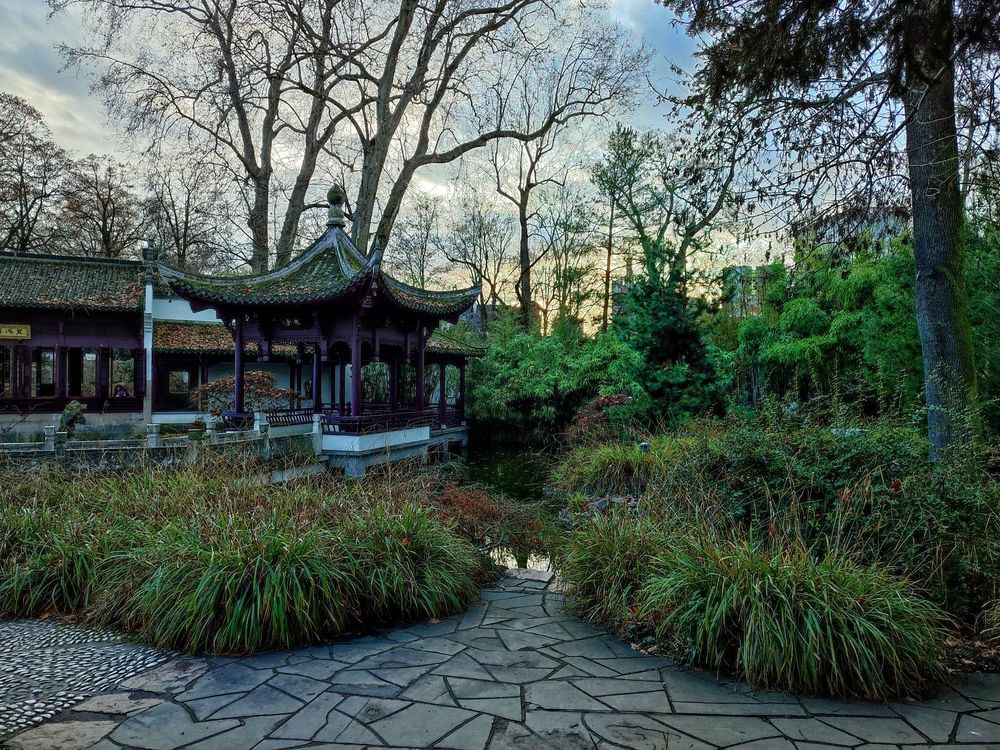 Chinesischer Garten
