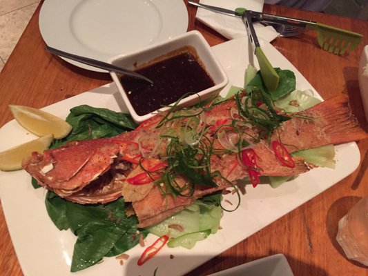 Fish D'vine & The Rum Bar by null