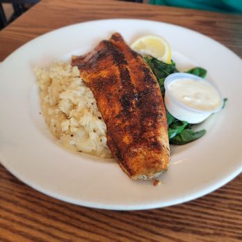 Fish City Grill - Blackened rainbow trout - Seafood Near Me - Georgetown, Texas