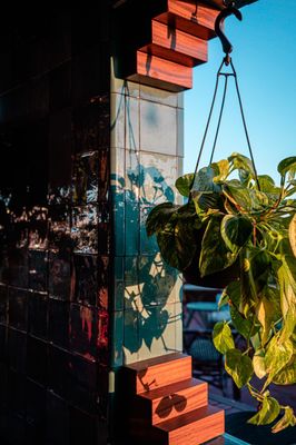 Terras by null
