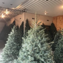 Eagle Evergreens