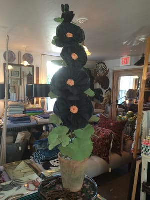 John Derian Company by null