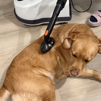 Vacuums Plus - Appliances Near Me - Georgetown, Texas Vacuums Plus - Appliances Near Me - Georgetown, Texas