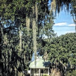 Oakland Manor House - View of the Lake